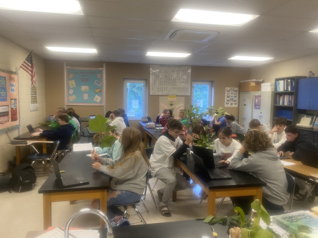 Spring Valley Biology Class Identifying Tree Species 